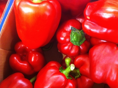 Online-Befragung - Aggressivität in Familien