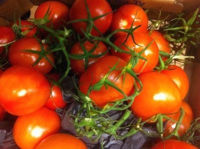 Schuld oder nicht Schuld ist hier die nicht Frage.