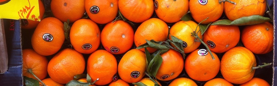 Forum der Psychiatrie