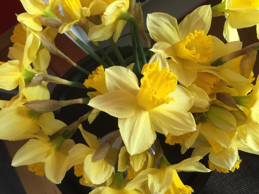 Online-Selbsthilfe-Intervention bei Psychosen