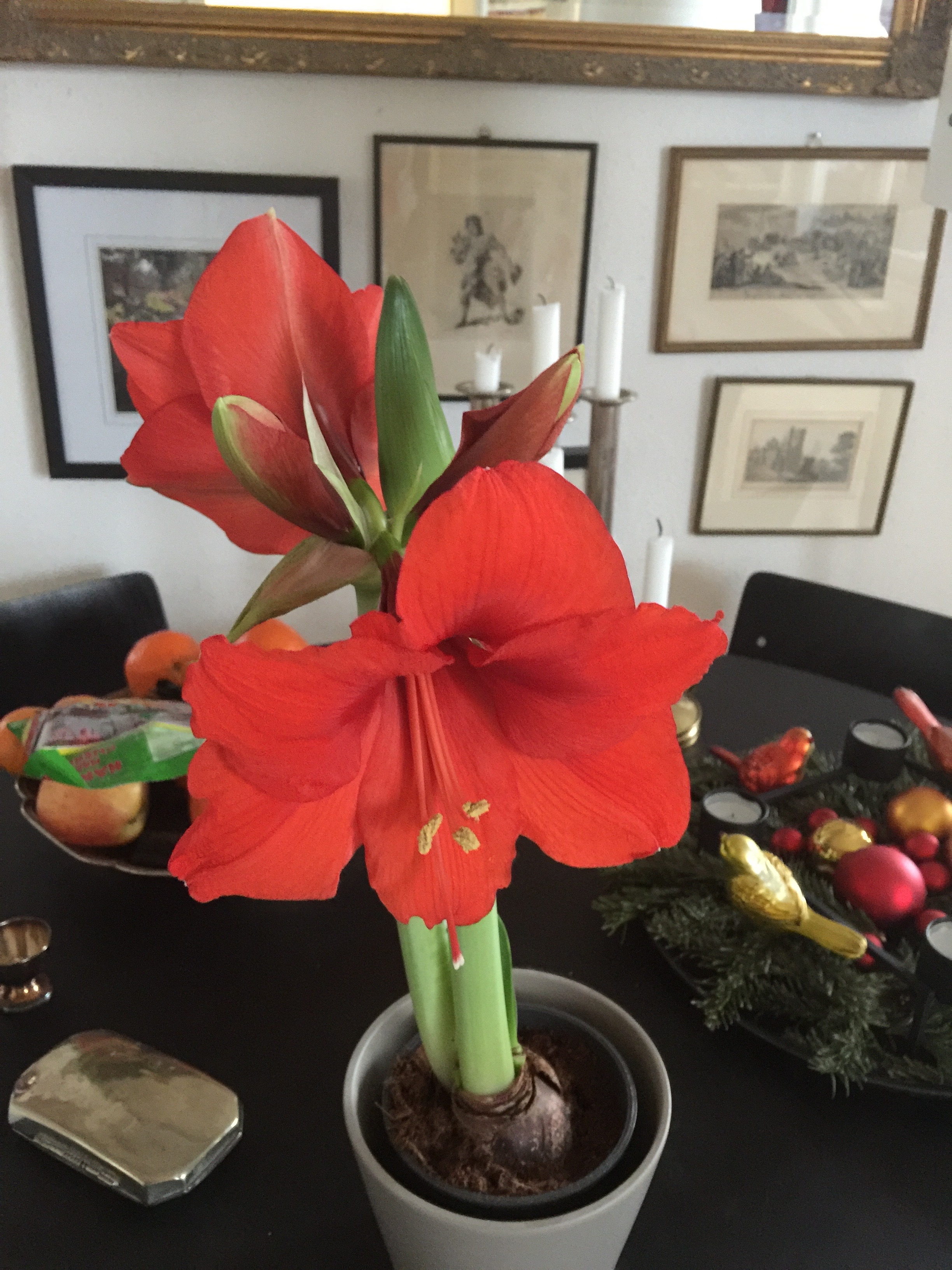 Was tun, wenn mein Kind psychisch krank ist?